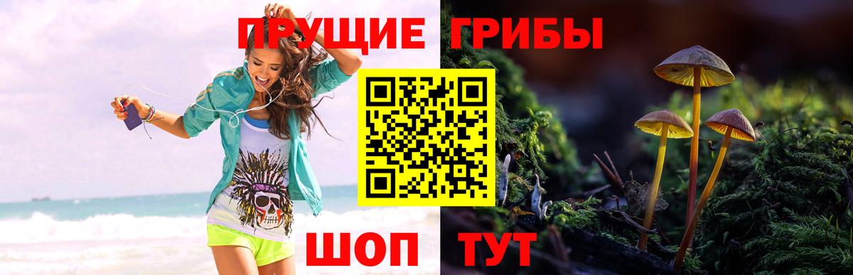 Егорьевск  Галлюциногенные грибы ЛСД  Псилоцибиновые грибы мицелий  что такое   Вход с VPN 